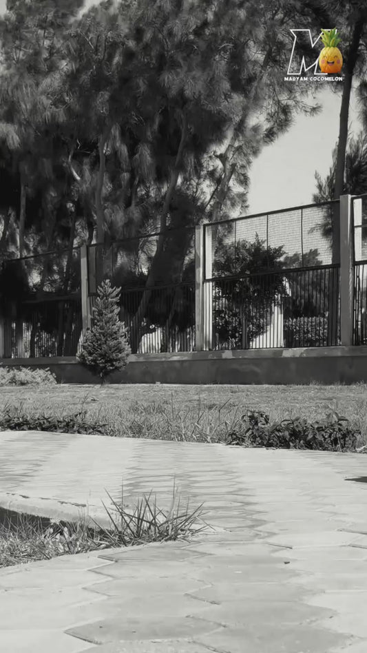 Kidilo Baby Stroller 6600